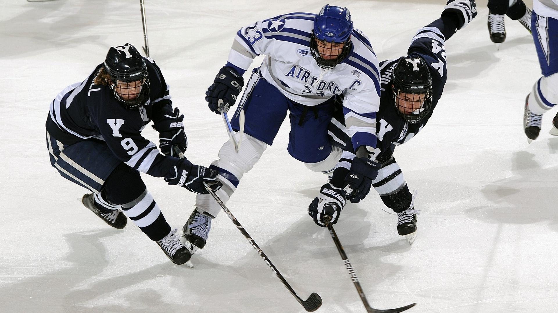 体育新闻中心助力校园体育全面发展，体育新闻中心助力校园体育全面发展的意义