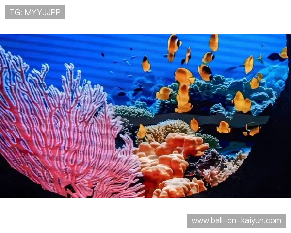 深海海底自行车赛,探索深蓝的极速旅程,深海 海底